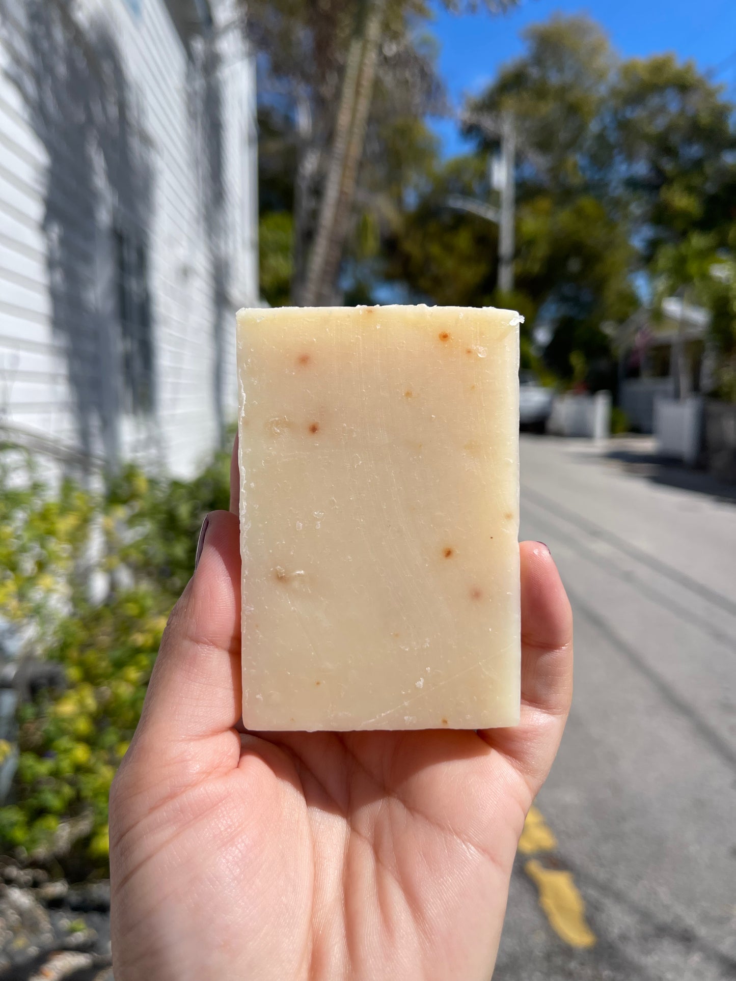 Eucalyptus Aloe 1 in Cold Press Soap