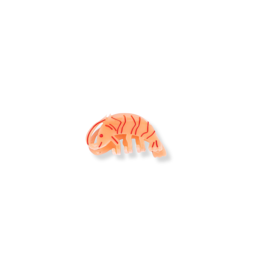 Mini Shrimp Hair Claw Clip