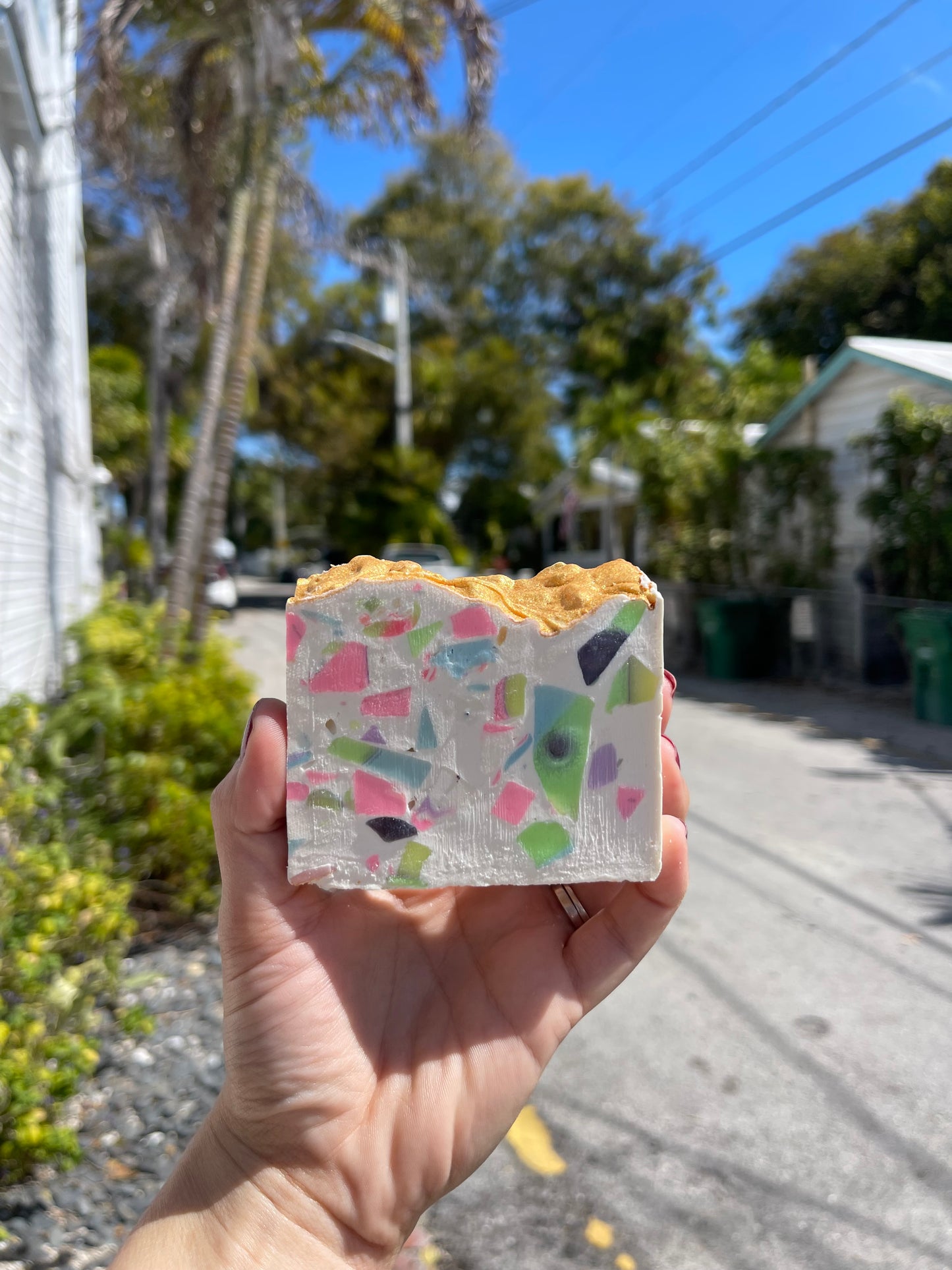 Mango Watermelon 1in Cold Press Soap